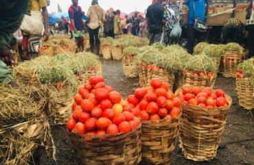 Consommation : le prix de la tomate en baisse à Douala