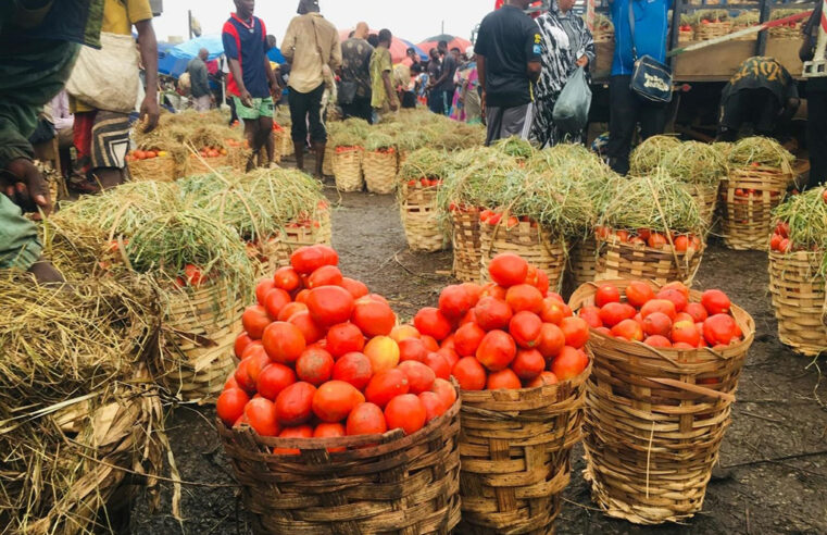 Consommation : le prix de la tomate en baisse à Douala