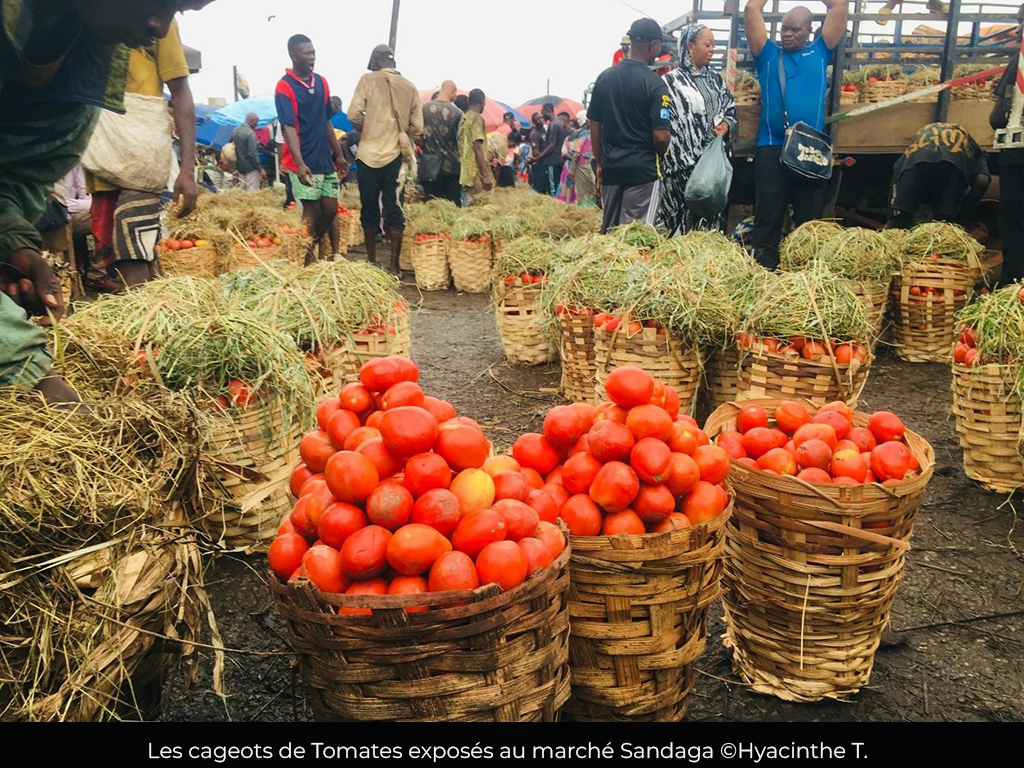 Consommation : le prix de la tomate en baisse à Douala