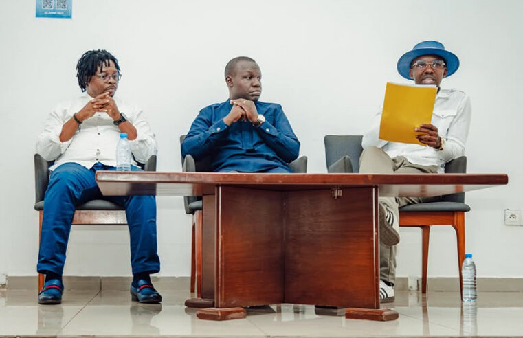 Livre : immersion dans la désinformation en Afrique francophone