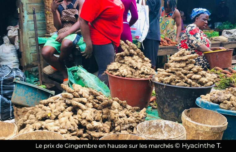 Douala : La flambée des prix de Gingembre fragilise les commerçants
