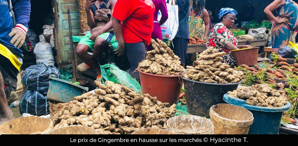 Douala : La flambée des prix de Gingembre fragilise les commerçants