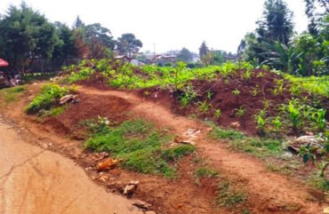 Ouest : 6 ans après sa rupture, le tronçons Evêché-Cami Toyota à Bafoussam aux oubliettes