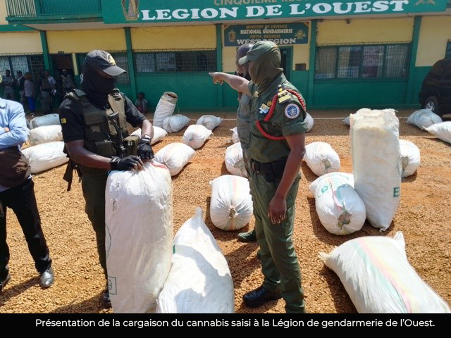 Insécurité : 30 tonnes de cannabis saisies en trois mois à l’Ouest