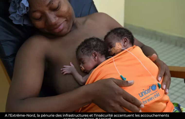 Mayo-Sava : Explosion des accouchements communautaires en 2024