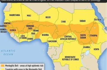 Cameroun : la méningite moins virulente en 2024