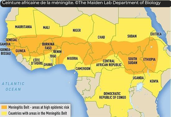 Cameroun : la méningite moins virulente en 2024