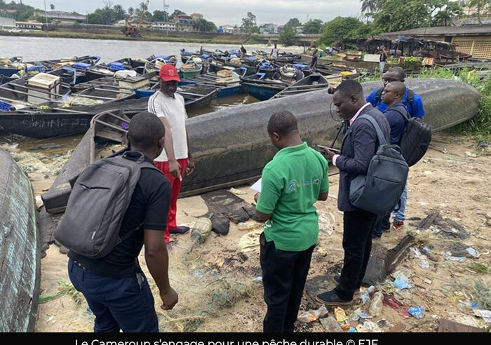 Pêche : le Cameroun adhère à la Charte mondiale de transparence