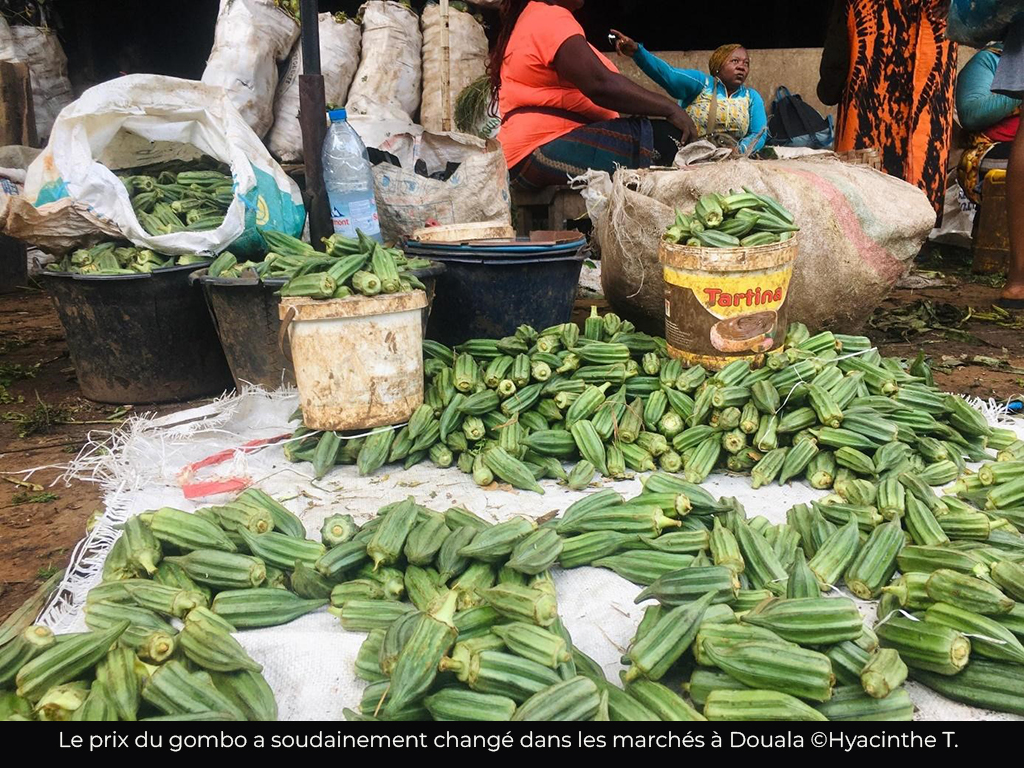 Consommation : la flambée des prix du gombo à Douala inquiète les consommateurs
