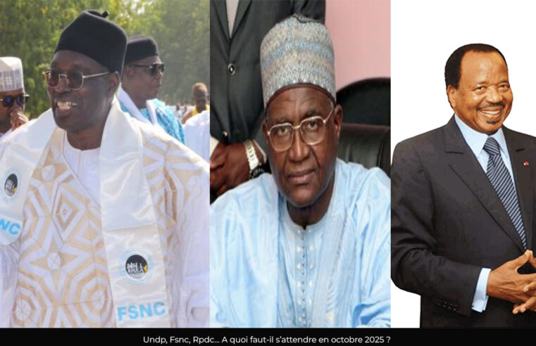 Présidentielle 2025 : Les grands enjeux électoraux dans le Grand-Nord du Cameroun