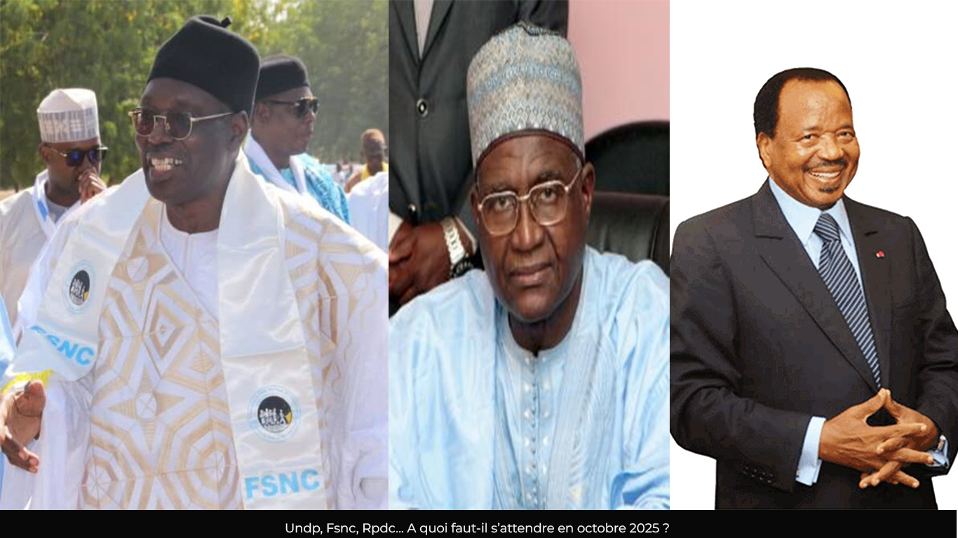 Présidentielle 2025 : Les grands enjeux électoraux dans le Grand-Nord du Cameroun