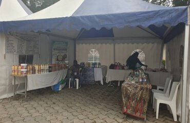 Entreprenariat :Au Cameroun, les jeunes de 20 à 40 ans dominent le tissu entrepreneurial