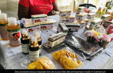 Pme camerounaise : le secteur tertiaire toujours dominant