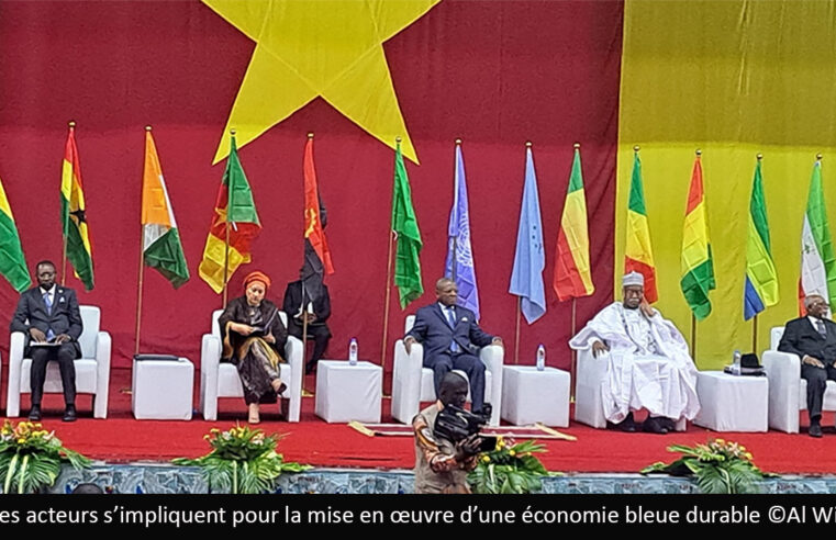 Golfe du Guinée : les Etats s’engagent pour la transparence dans la gouvernance des ressources halieutiques