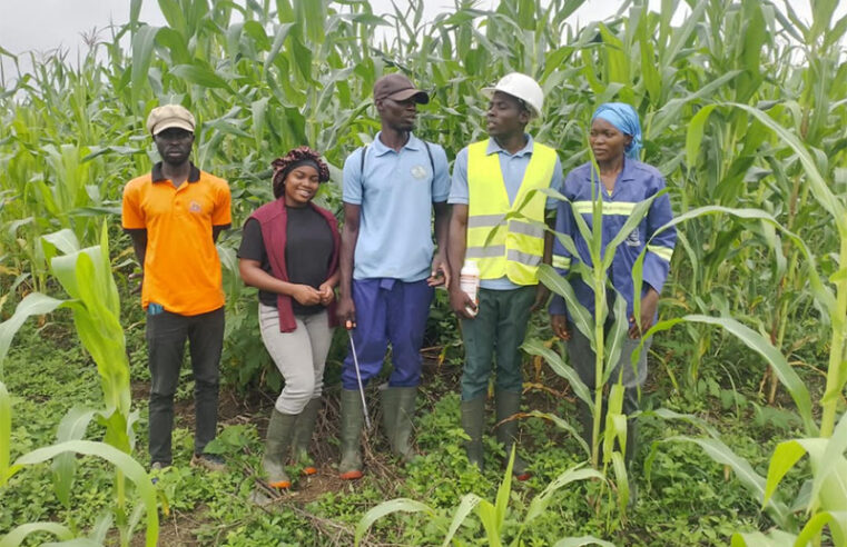 Université de Bertoua : Des petits pas vers la professionnalisation des étudiants