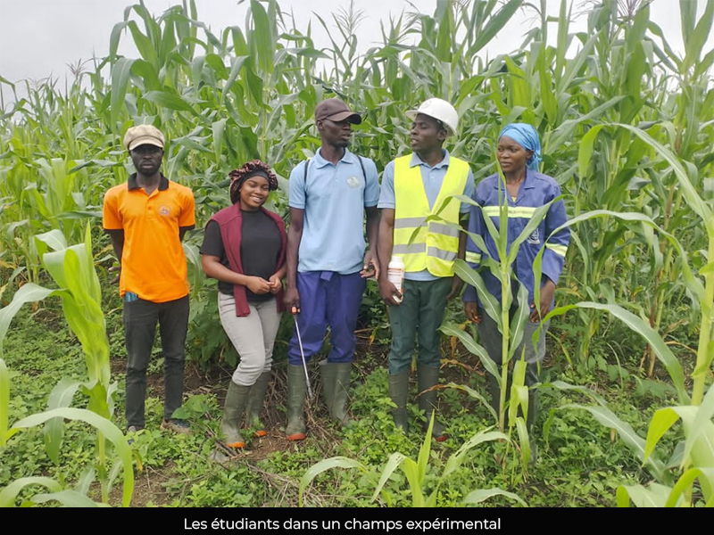 Université de Bertoua : Des petits pas vers la professionnalisation des étudiants