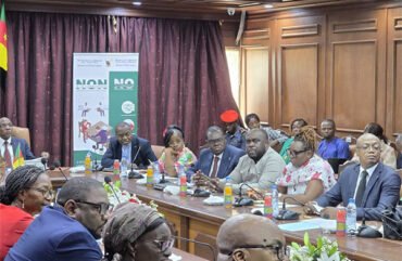 Crise financière au Pev : le Cameroun menacé par une rupture de vaccins