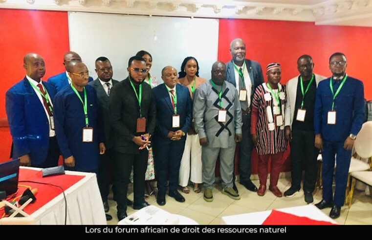 Ressources naturelles : le Cameroun peine à maîtriser toutes les chaînes de valeurs