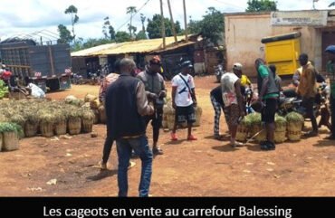 Produits locaux : A l’Ouest, les communautés locales desservies en faveur des grandes villes