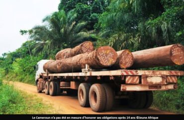 Exportation de bois: l&rsquo;Union Européenne met fin à son Accord de Partenariat Volontaire avec le Cameroun