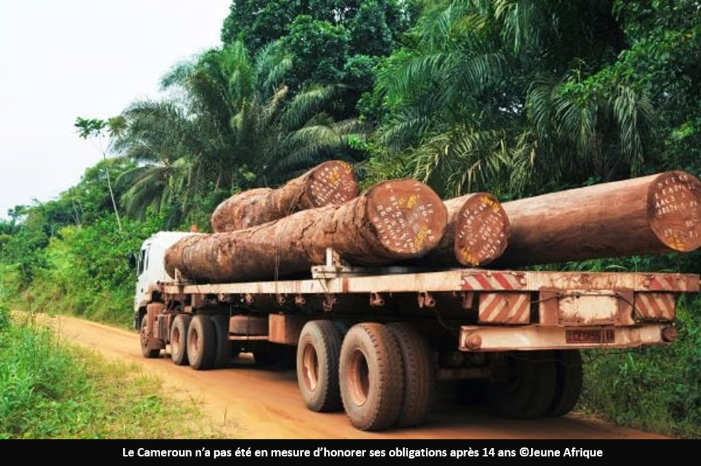 Exportation de bois: l’Union Européenne met fin à son Accord de Partenariat Volontaire avec le Cameroun