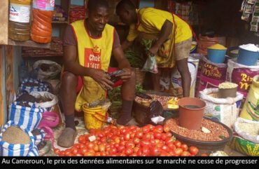 Vie chère : le panier de la ménagère s’amaigrit de plus en plus