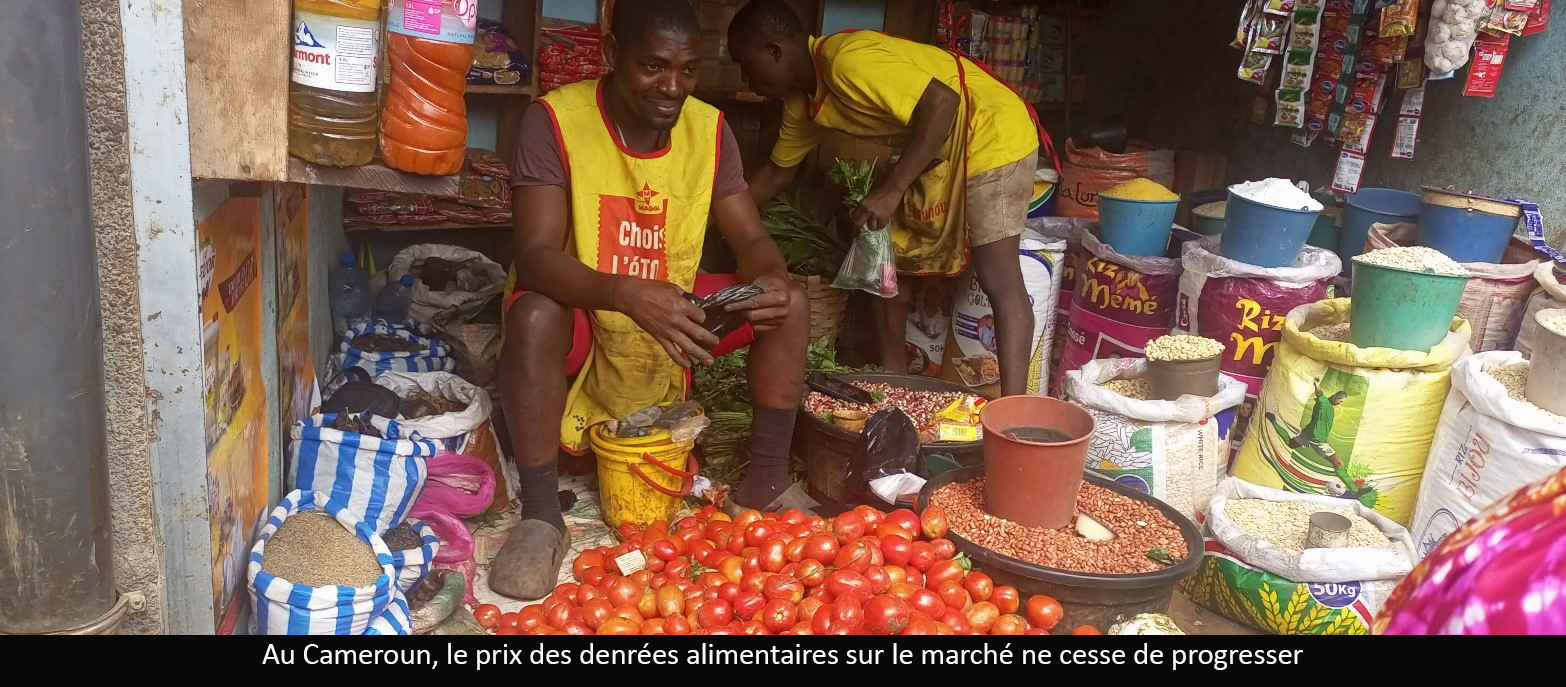Vie chère : le panier de la ménagère s’amaigrit de plus en plus