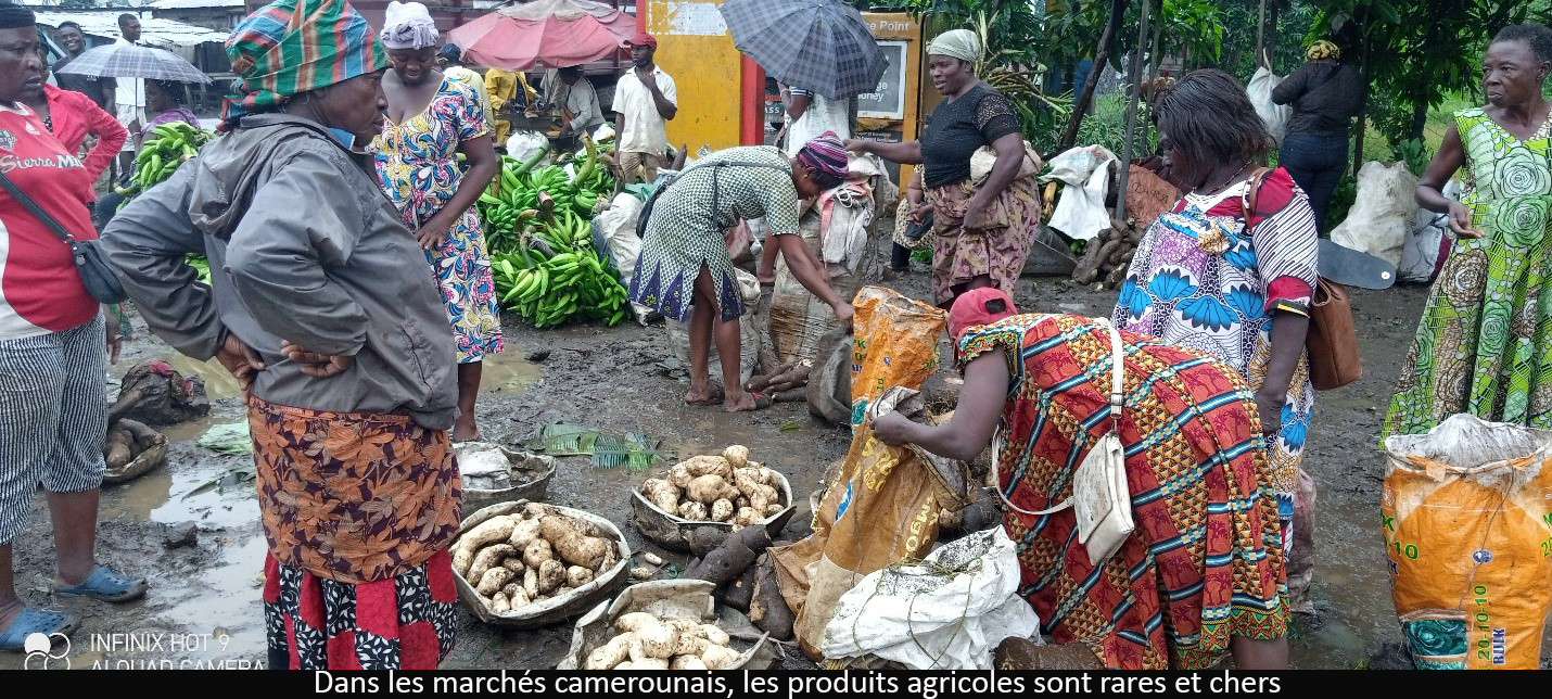 Produits locaux : le paradoxe des marchés camerounais
