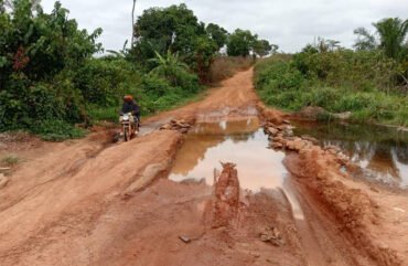 Des champs aux étales : le calvaire des producteurs de la région l’Est