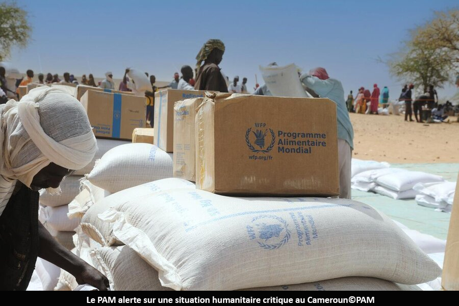 Crise alimentaire : Plus de 500 milles personnes vulnérable exposées à la faim