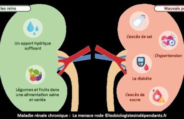 Maladie rénale chronique : La menace persiste au Cameroun