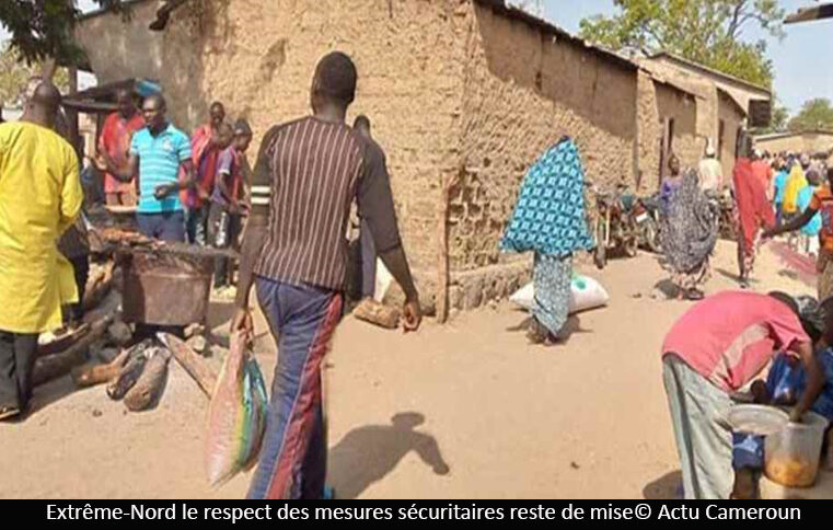 Crise sécuritaire : 892 personnes déplacées en deux jours dans le Mayo-Tsanaga