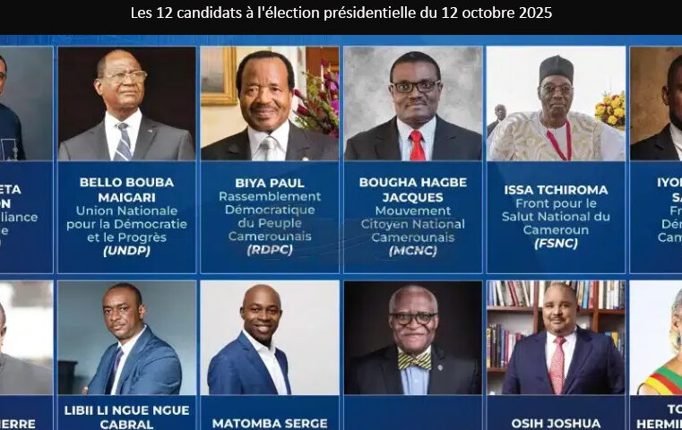 Présidentielle 2025 : l’opacité des programmes politiques qui intrigue