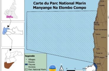 Conservation : les défis liés à la réglementation de la pêche artisanale au sein du Parc National Marin Manyangue na Elombo-Campo