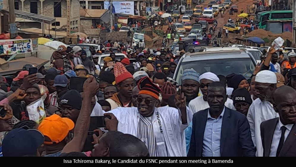 Présidentielle 2025 : La timide campagne dans les régions  anglophones