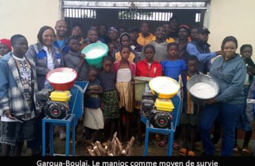 Est : le manioc, levier d’autonomisation des producteurs de Garoua-Boulaï