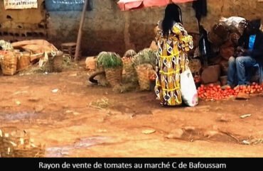 Vie chère : Le prix de la tomate flambe à l’Ouest