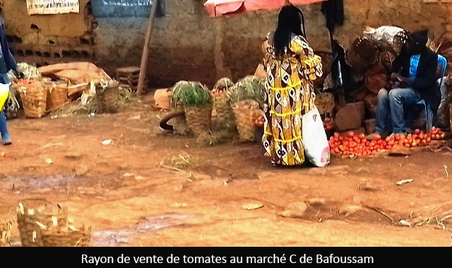 Vie chère : Le prix de la tomate flambe à l’Ouest