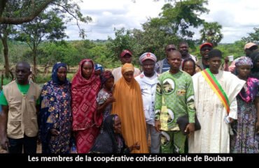 Est : des femmes au front pour la relance de l’élevage de bovin à Kétté