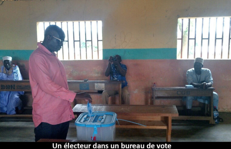 Présidentielle :  le Cameroun enregistre un léger rebond du taux de participation