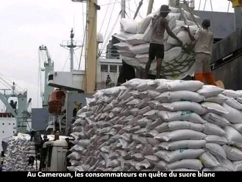 Consommation : le sucre blanc rare dans les marchés