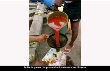 Huile de palme : la production toujours déficitaire au Cameroun