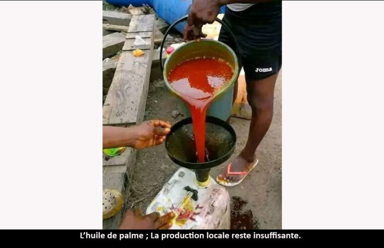 Huile de palme : la production toujours déficitaire au Cameroun