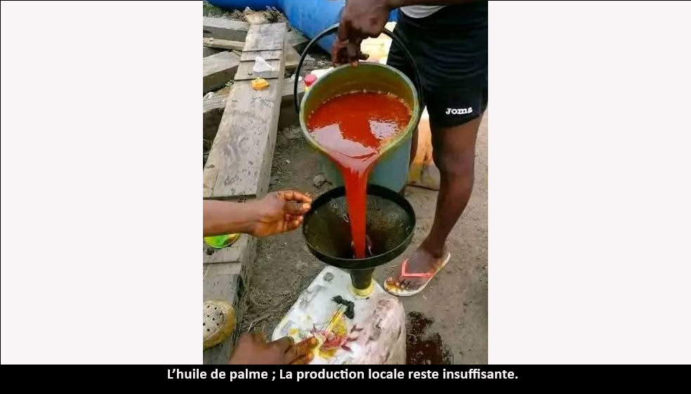 Huile de palme : la production toujours déficitaire au Cameroun
