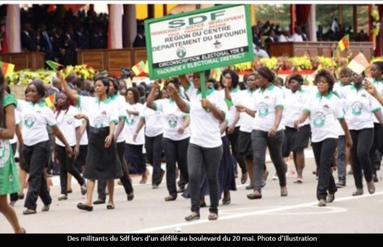 Présidentielle : Après 2018, le déclin électoral du Social Democratic Front