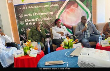 Présidentielle 2025 : Les dessous de la lutte contre la désinformation en débat