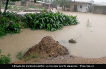 Changements climatiques : le Cameroun investit 406 milliards F Cfa en 2026