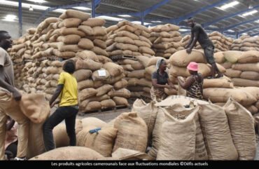 Produits agricoles : le Cameroun enregistre une chute de 4% au deuxième trimestre 2025
