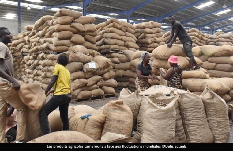 Produits agricoles : le Cameroun enregistre une chute de 4% au deuxième trimestre 2025