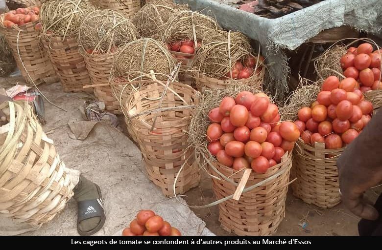 Consommation : le prix de la tomate chute de moitié en un mois